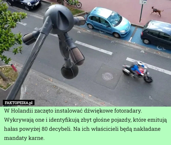 
    W Holandii zaczęto instalować dźwiękowe fotoradary. Wykrywają one i identyfikują