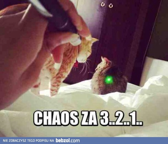 
    Ludzie nie mają sumienia