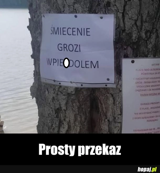 
    Szon patol