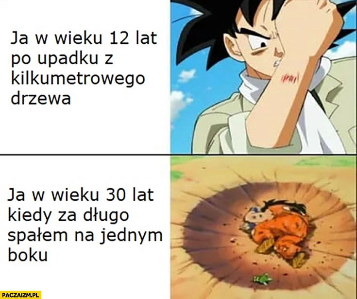 
    Dragonball ja w wieku 12 lat po upadku z kilkumetrowego drzewa vs ja w wieku 30 lat kiedy za długo spałem na jednym boku