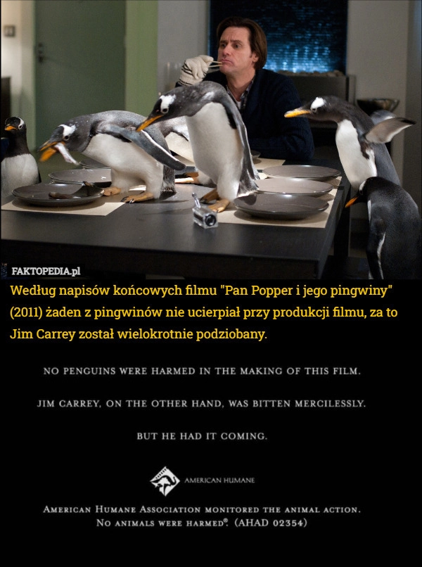 
    Według napisów końcowych filmu "Pan Popper i jego pingwiny" (2011)