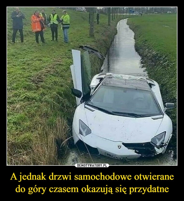 
    A jednak drzwi samochodowe otwierane do góry czasem okazują się przydatne