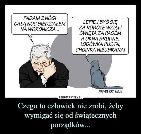 
    Czego to człowiek nie zrobi, żeby wymigać się od świątecznych porządków...