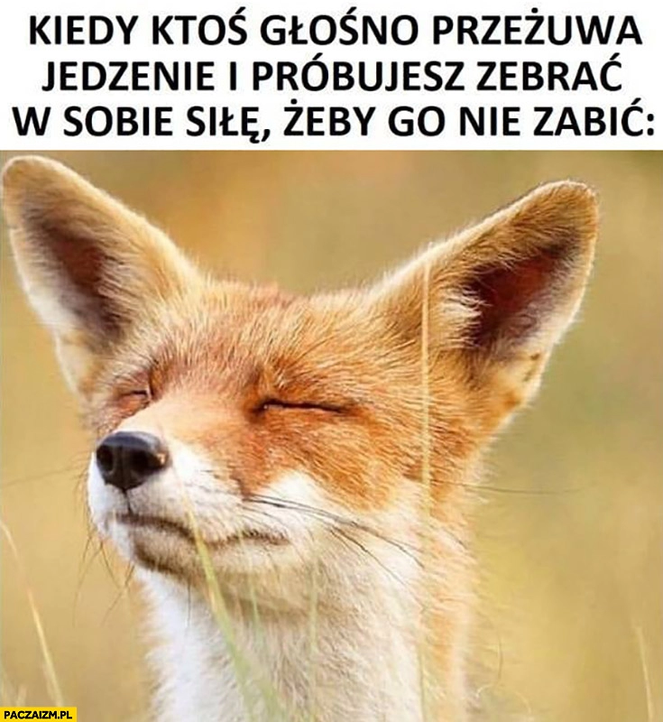 
    Kiedy ktoś głośno przeżuwa jedzenie i próbujesz zebrać w sobie siłę żeby go nie zabić lis