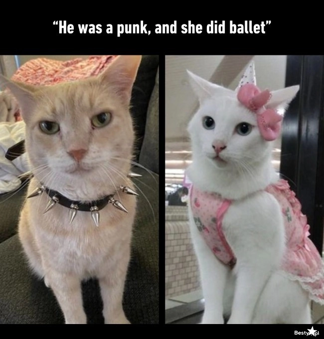 
    He was a punk... 