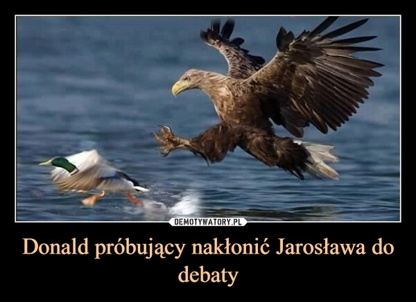 
    Donald próbujący nakłonić Jarosława do debaty