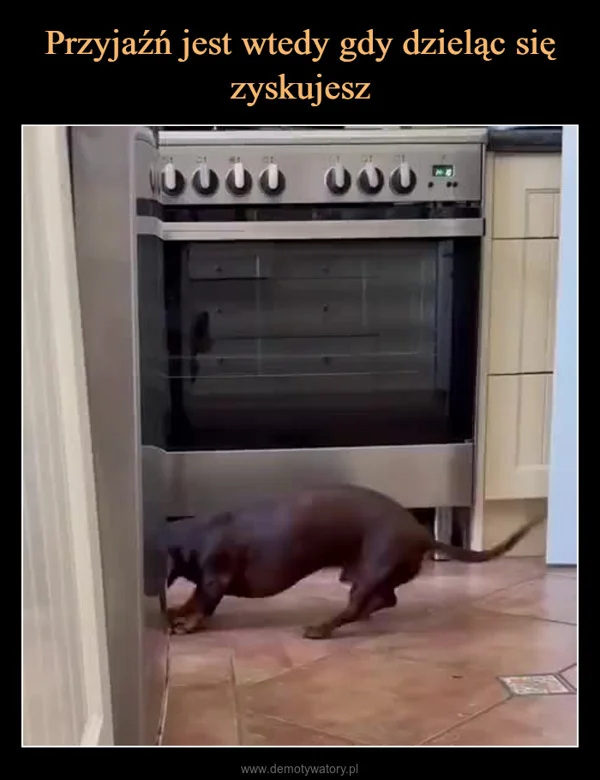 
    Przyjaźń jest wtedy gdy dzieląc się zyskujesz