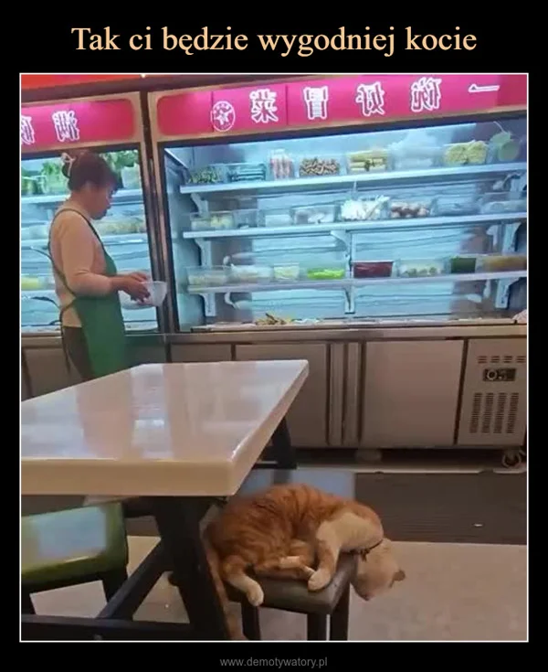 
    Tak ci będzie wygodniej kocie
