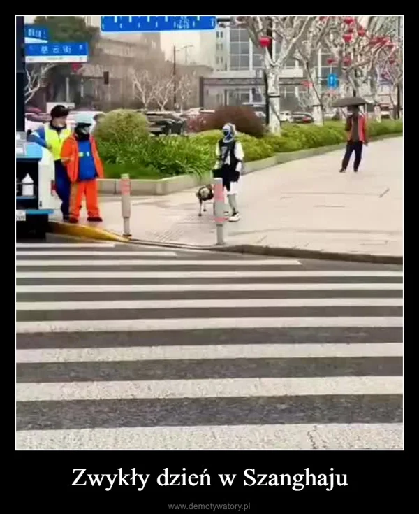 
    Zwykły dzień w Szanghaju