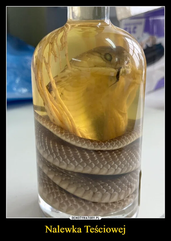 
    Nalewka Teściowej