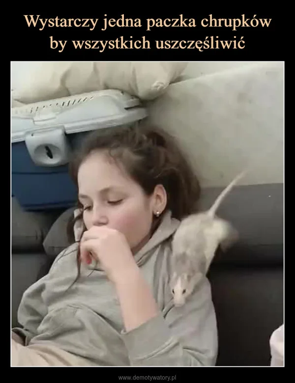 
    Wystarczy jedna paczka chrupków by wszystkich uszczęśliwić