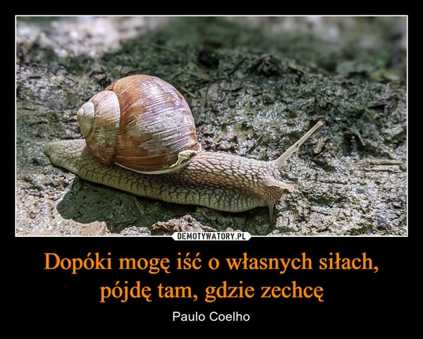 
    Dopóki mogę iść o własnych siłach, pójdę tam, gdzie zechcę