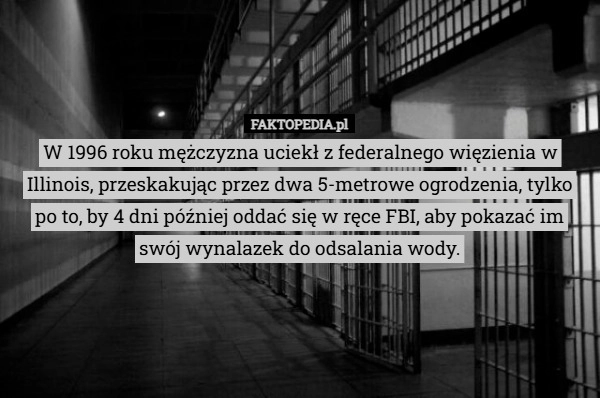 
    W 1996 roku mężczyzna uciekł z federalnego więzienia w Illinois, przeskakując