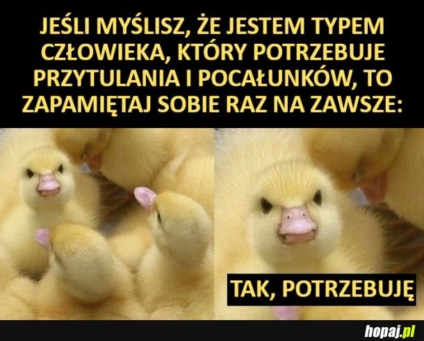 
    Zapamiętaj to sobie sobie