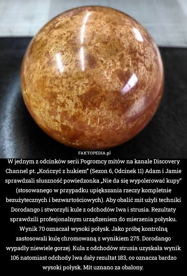 
    W jednym z odcinków serii Pogromcy mitów na kanale Discovery Channel pt.