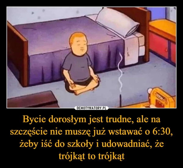 
    Bycie dorosłym jest trudne, ale na szczęście nie muszę już wstawać o 6:30, żeby iść do szkoły i udowadniać, że trójkąt to trójkąt