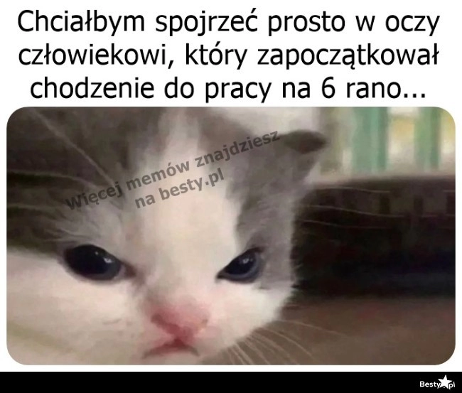 
    Który był taki mądry? 