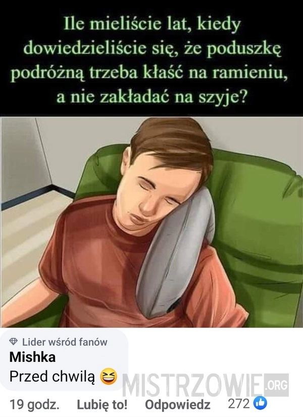 
    Poduszka podróżna