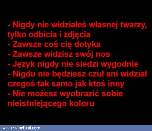 
    Przypominamy kilka faktów