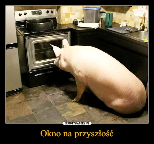 
    Okno na przyszłość