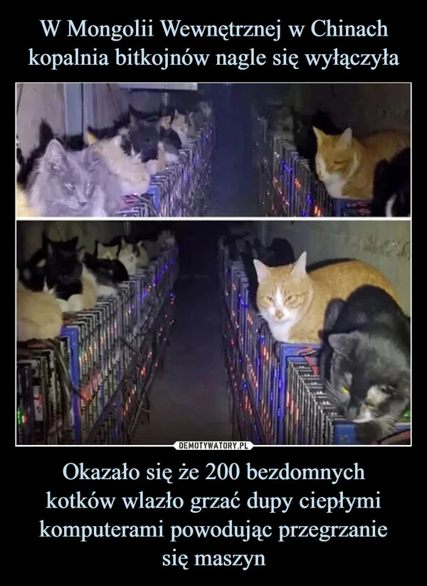 
    W Mongolii Wewnętrznej w Chinach kopalnia bitkojnów nagle się wyłączyła Okazało się że 200 bezdomnych kotków wlazło grzać dupy ciepłymi komputerami powodując przegrzanie się maszyn