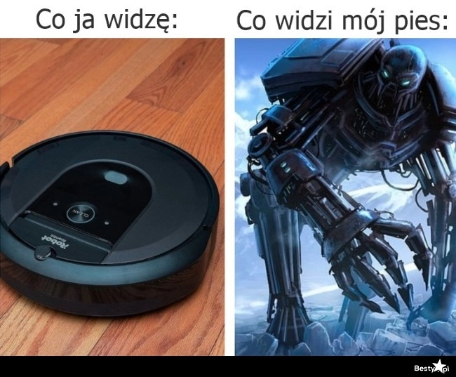 
    Największy wróg 