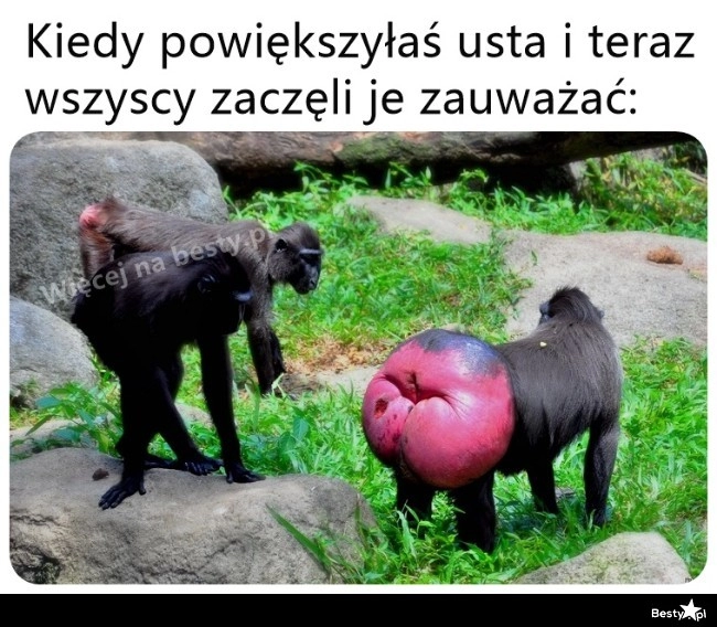 
    Ciężko przeoczyć 