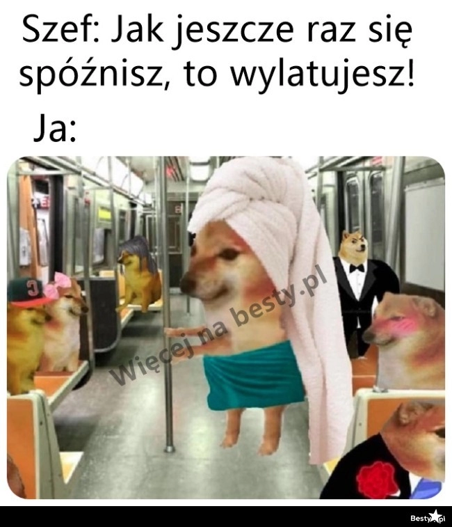 
    Nie ma żartów 