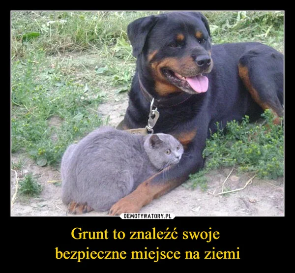 
    Grunt to znaleźć swoje bezpieczne miejsce na ziemi