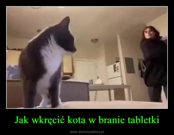 
    Jak wkręcić kota w branie tabletki
