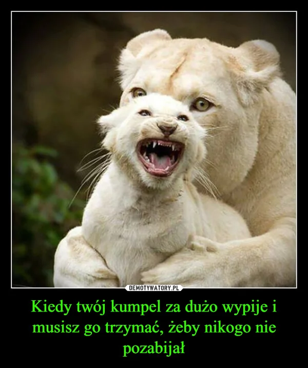 
    Kiedy twój kumpel za dużo wypije i musisz go trzymać, żeby nikogo nie pozabijał