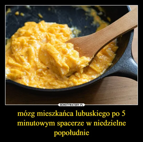 
    mózg mieszkańca lubuskiego po 5 minutowym spacerze w niedzielne popołudnie