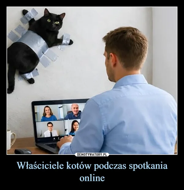 
    Właściciele kotów podczas spotkania online