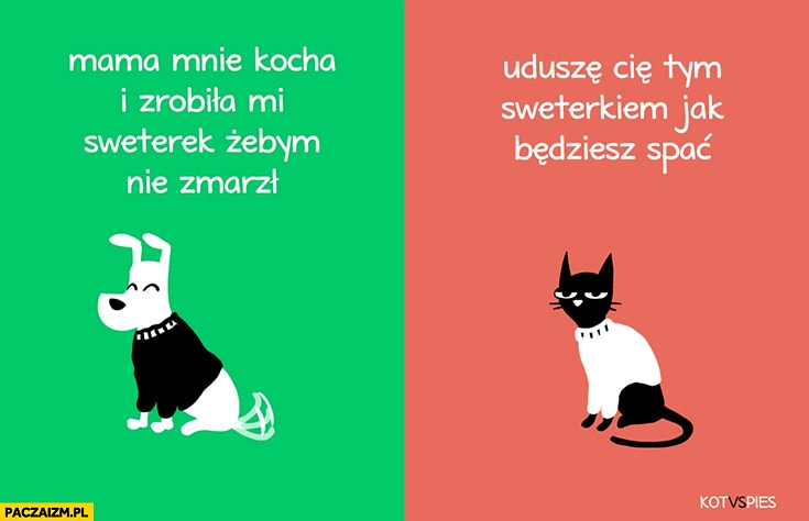 
    Sweterek dla psa i kota: kocha mnie i zrobiła żebym nie zmarzł vs uduszę Cie tym sweterkiem jak będziesz spać kot vs pies