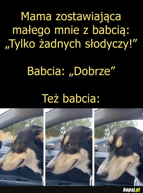 Sztama z babcia