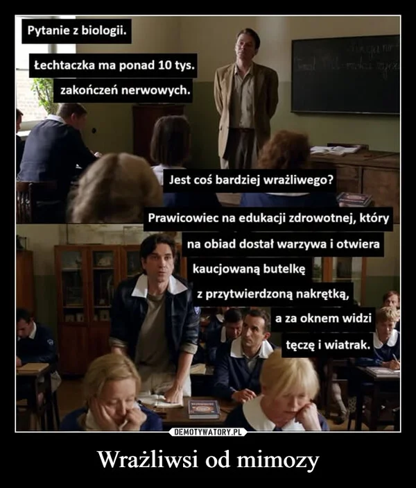 
    Wrażliwsi od mimozy