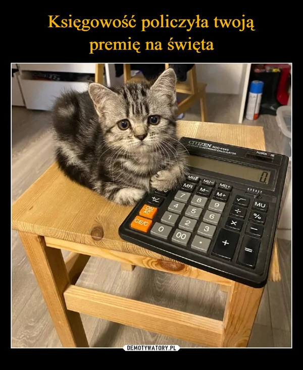 
    Księgowość policzyła twoją premię na święta