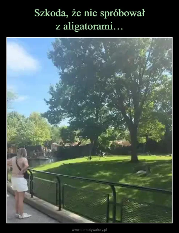 
    Szkoda, że nie spróbował z aligatorami…