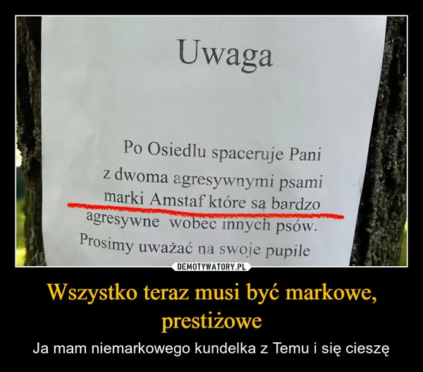 
    Wszystko teraz musi być markowe, prestiżowe