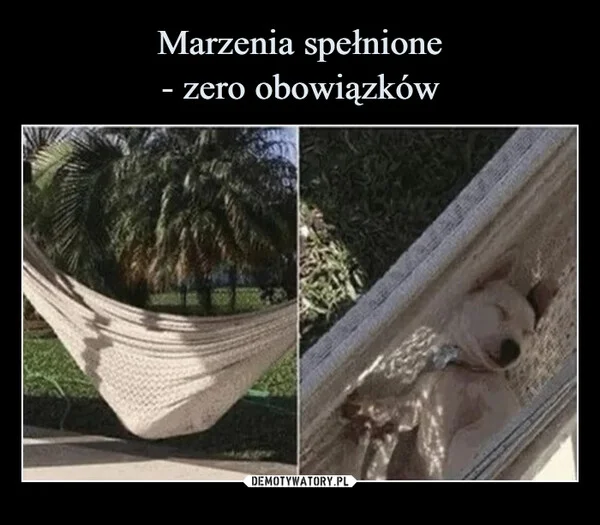 
    Marzenia spełnione - zero obowiązków
