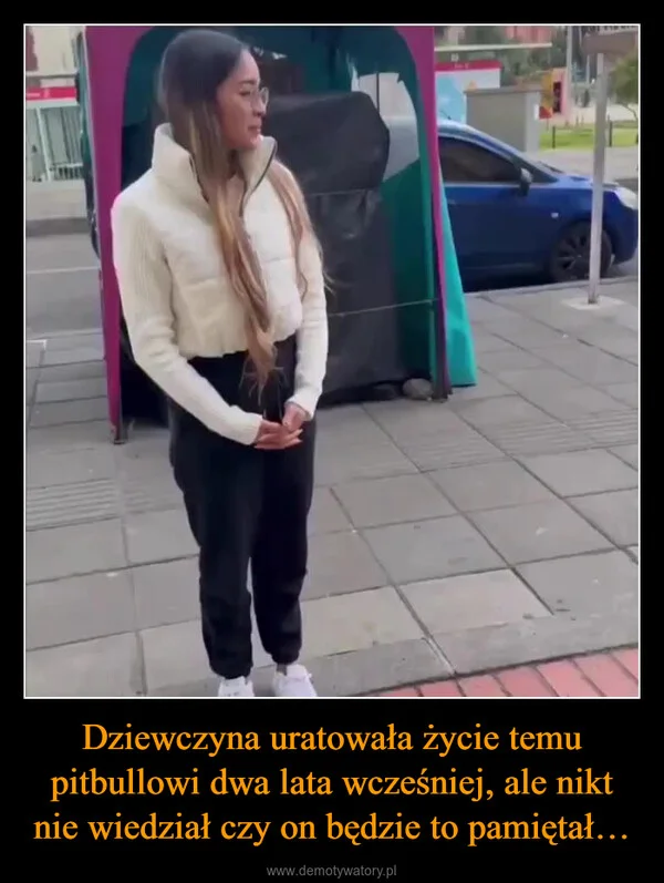 Dziewczyna uratowała życie temu pitbullowi dwa lata wcześniej, ale nikt nie wiedział czy on będzie to pamiętał…