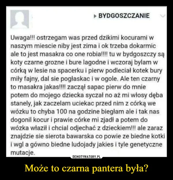 
    Może to czarna pantera była?