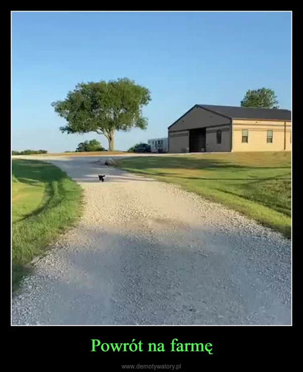 
    Powrót na farmę