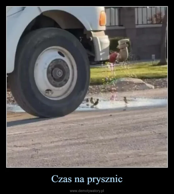 
    Czas na prysznic