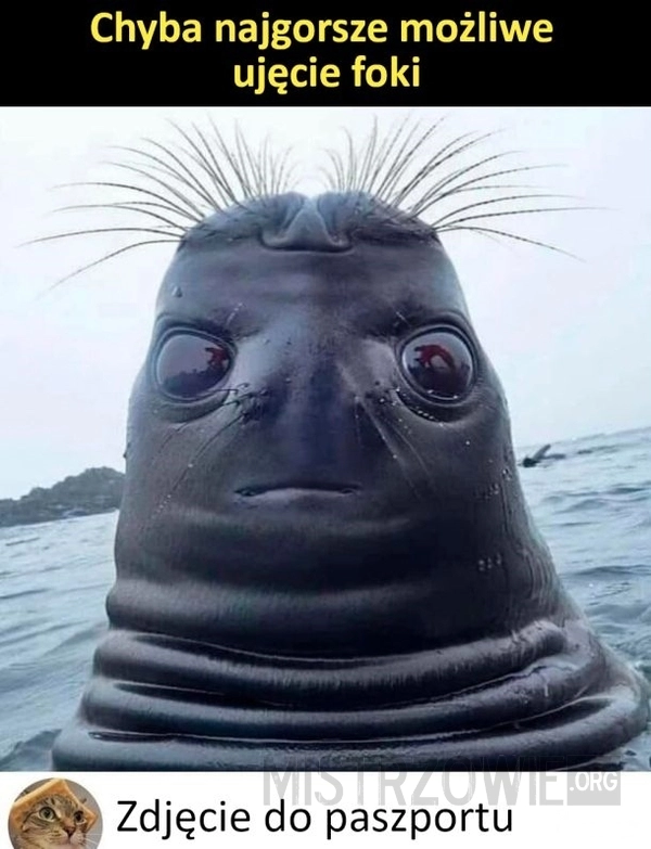 
    Każdy zna to