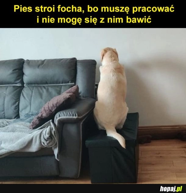 
    Baw się!