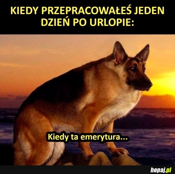 
    Ile jeszcze mam tak cierpieć?