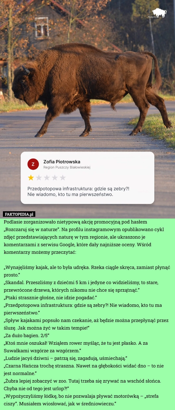 
    Podlasie zorganizowało nietypową akcję promocyjną pod hasłem „Rozczaruj
