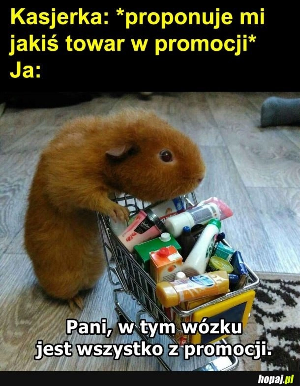 
    Promocja