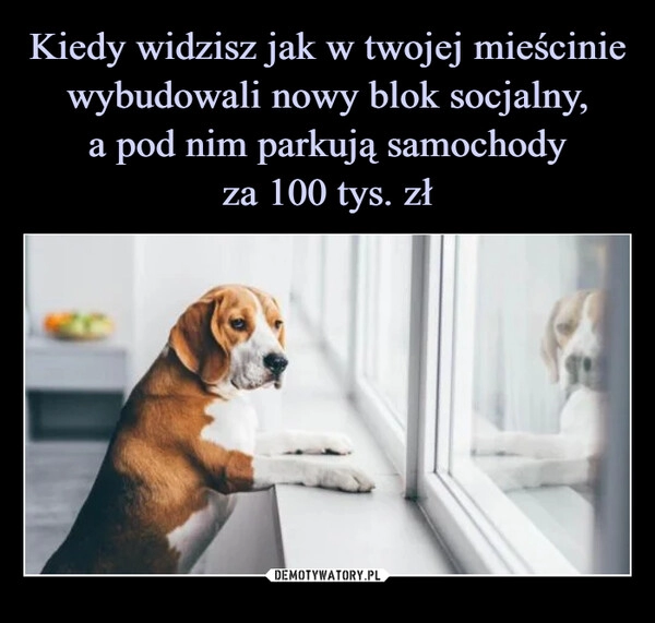 
    Kiedy widzisz jak w twojej mieścinie wybudowali nowy blok socjalny,
a pod nim parkują samochody
za 100 tys. zł